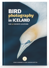 Load image into Gallery viewer, Bird Photography In Iceland - Our 40 Favorite Locations (eBook/ePUB)