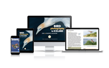 Load image into Gallery viewer, Bird Photography In Iceland - Our 40 Favorite Locations (eBook/ePUB)