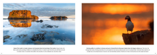 Load image into Gallery viewer, Grímsey – The Arctic Wildlife Wonder