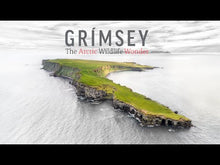 Load and play video in Gallery viewer, Grímsey – The Arctic Wildlife Wonder