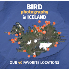 Load image into Gallery viewer, Bird Photography In Iceland - Our 40 Favorite Locations (eBook/ePUB)
